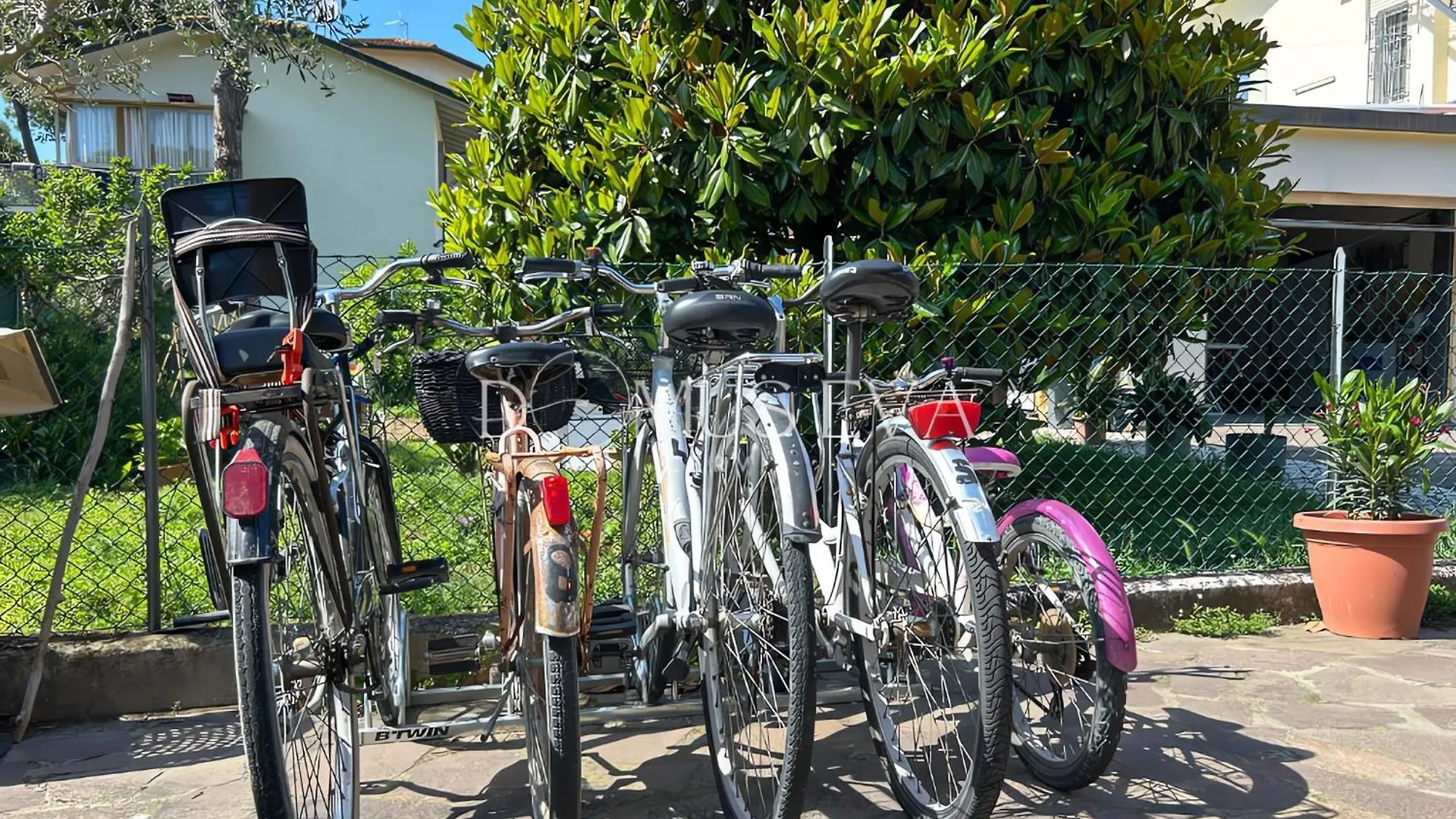 Domus Eva Lägenhet Cervia